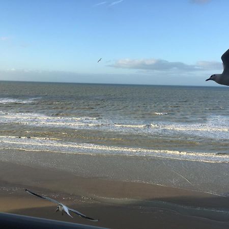 Entre Dunes Et Mer Bray-Dunes Exteriör bild
