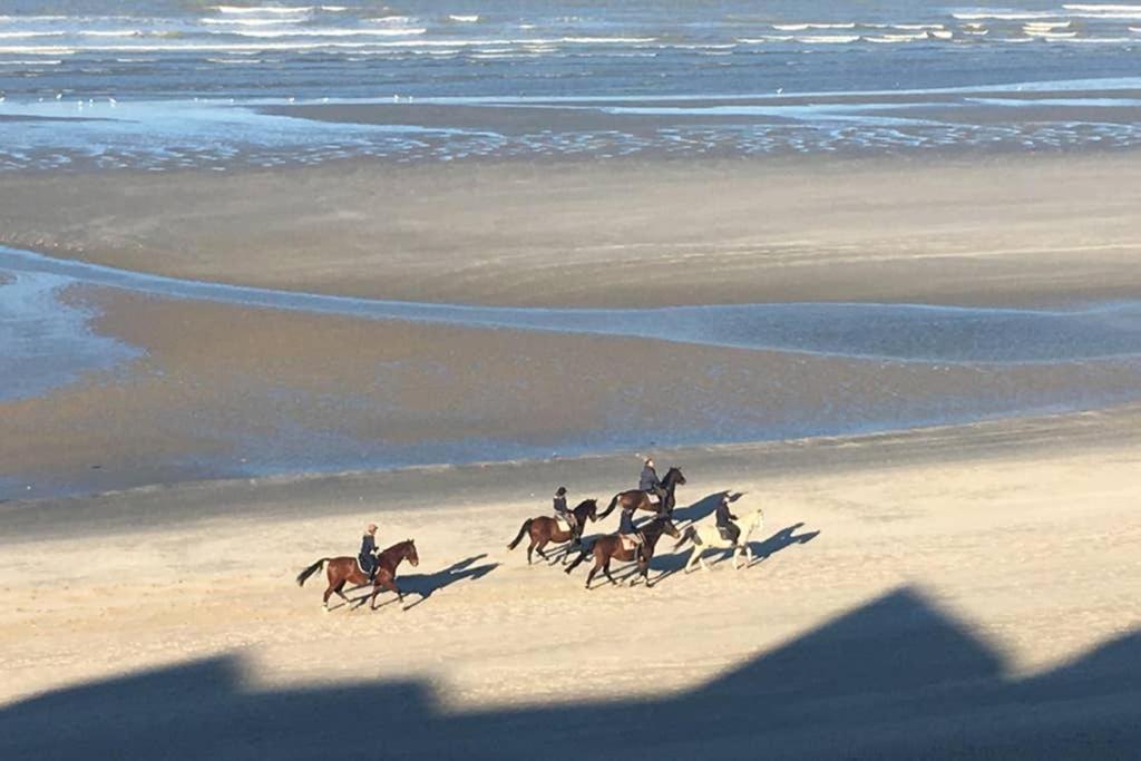 Entre Dunes Et Mer Bray-Dunes Exteriör bild