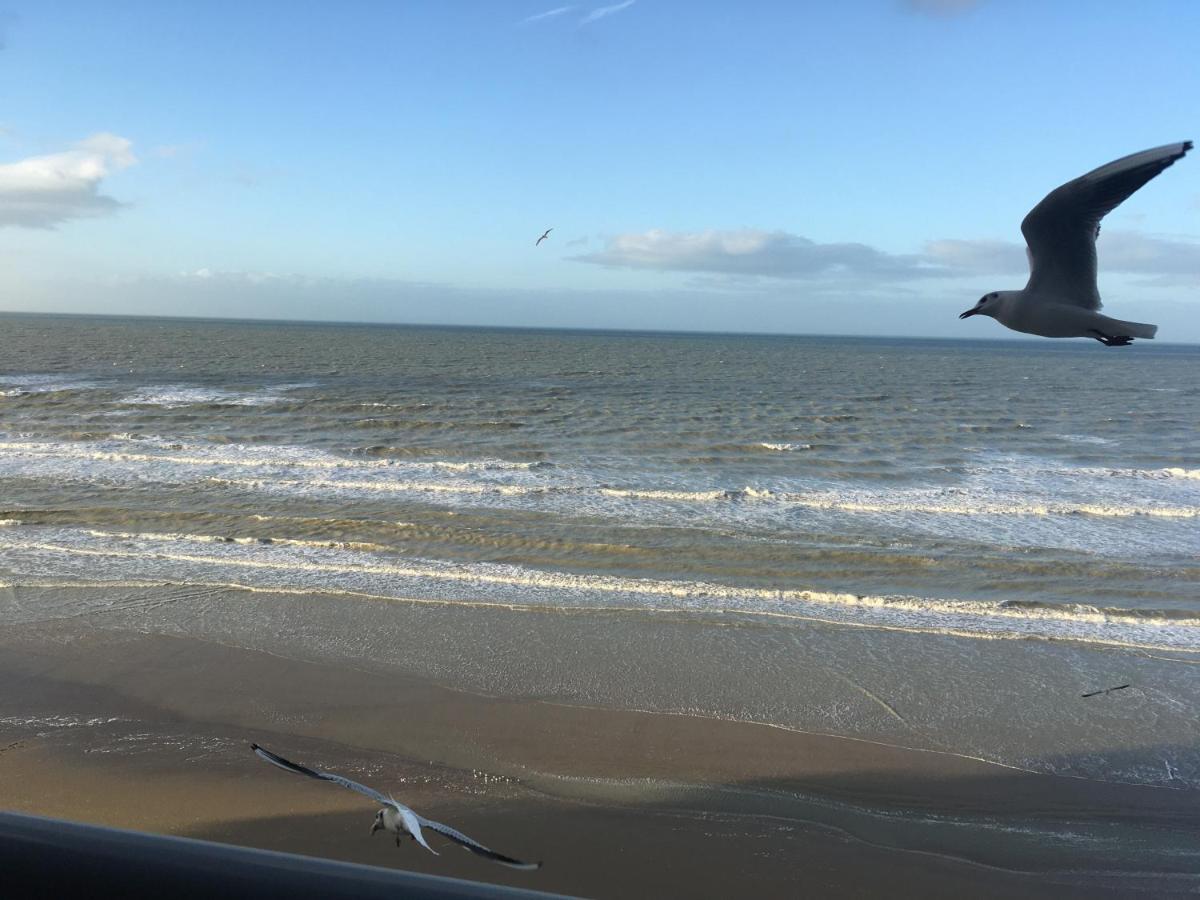 Entre Dunes Et Mer Bray-Dunes Exteriör bild