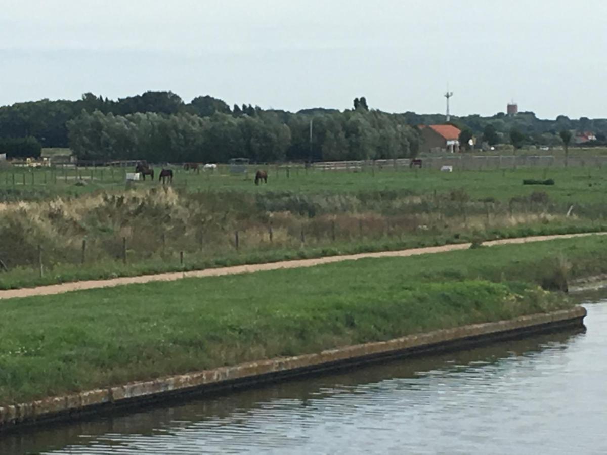 Entre Dunes Et Mer Bray-Dunes Exteriör bild