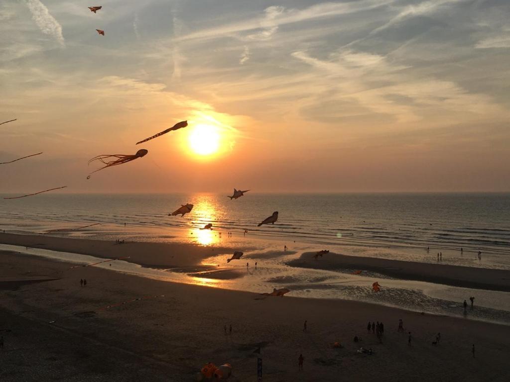 Entre Dunes Et Mer Bray-Dunes Exteriör bild